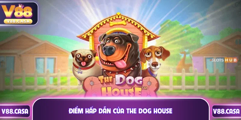 Điểm danh các đặc điểm hấp dẫn của The Dog House